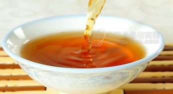 小米釀批發與招商指南 廠家直供、價格趨勢與酒類市場機遇