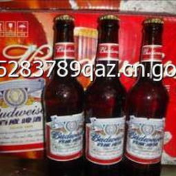 宇佳啤酒 品質與創新的完美融合，最新產品展示與創業商機解析